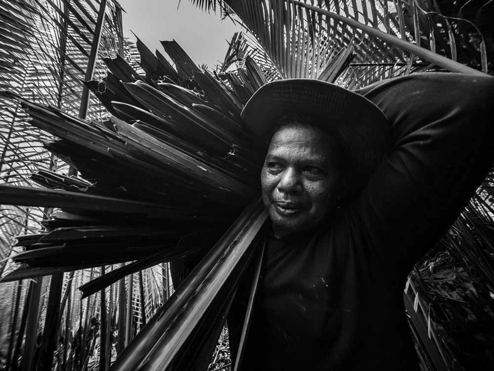 Фотография автора Alaa El Deeb