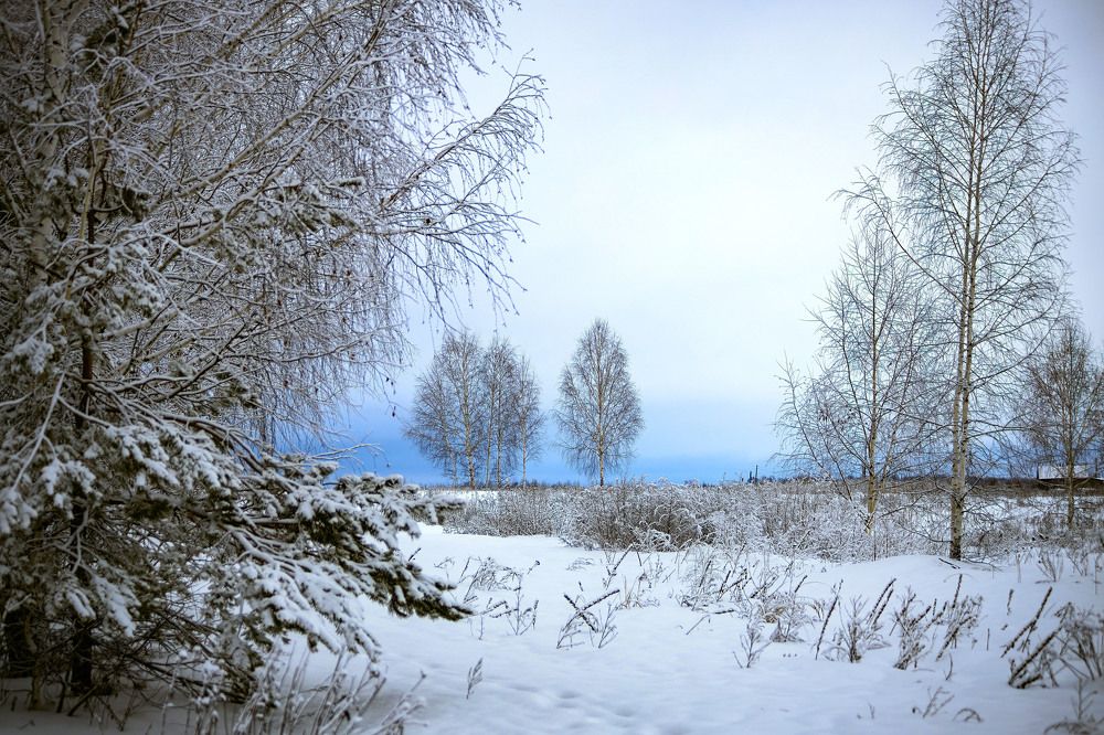 Photograph by Андрей Трубачев