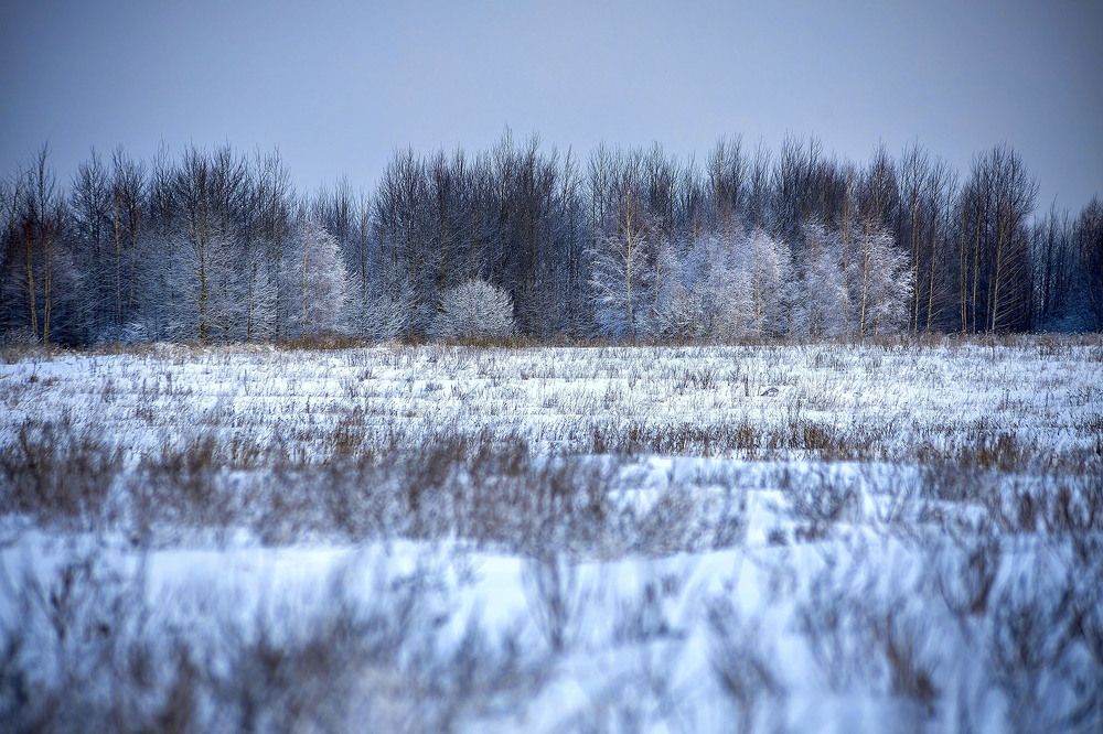 Photograph by Андрей Трубачев