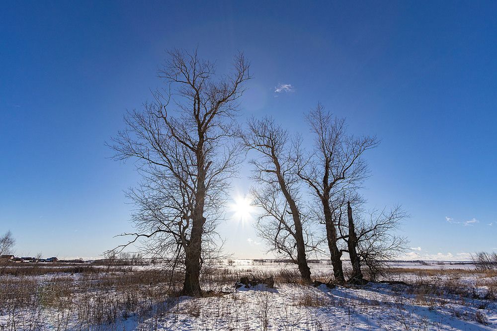 Photograph by Андрей Трубачев