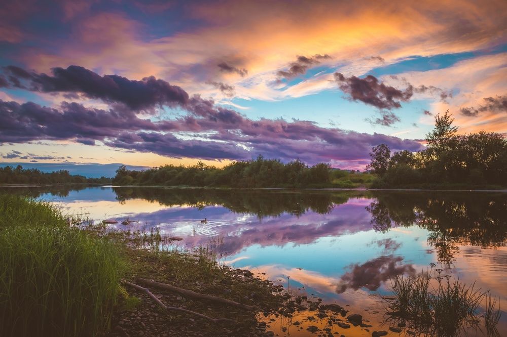 Сиреневый вечер