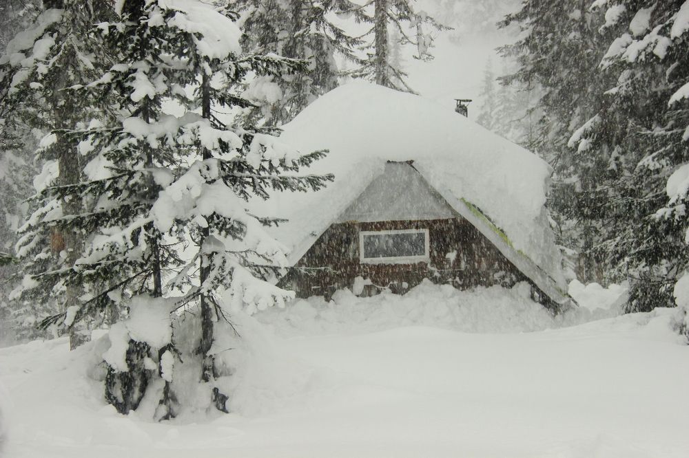 Под  покровом глубокого снега.  Снежная метель.
