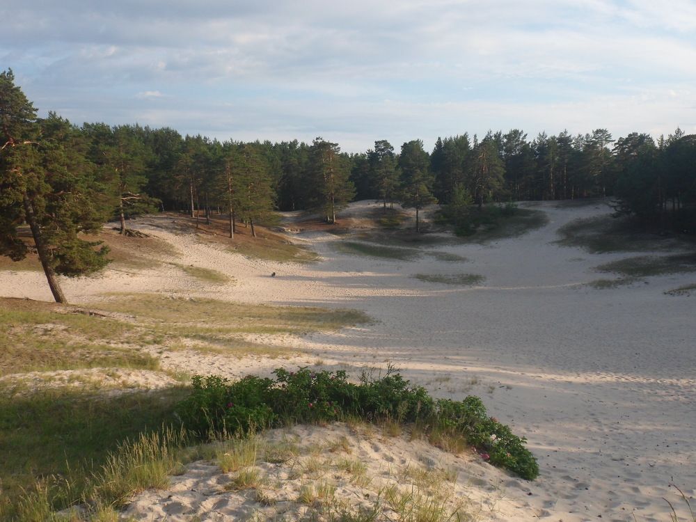 Photograph by Маша Худякова