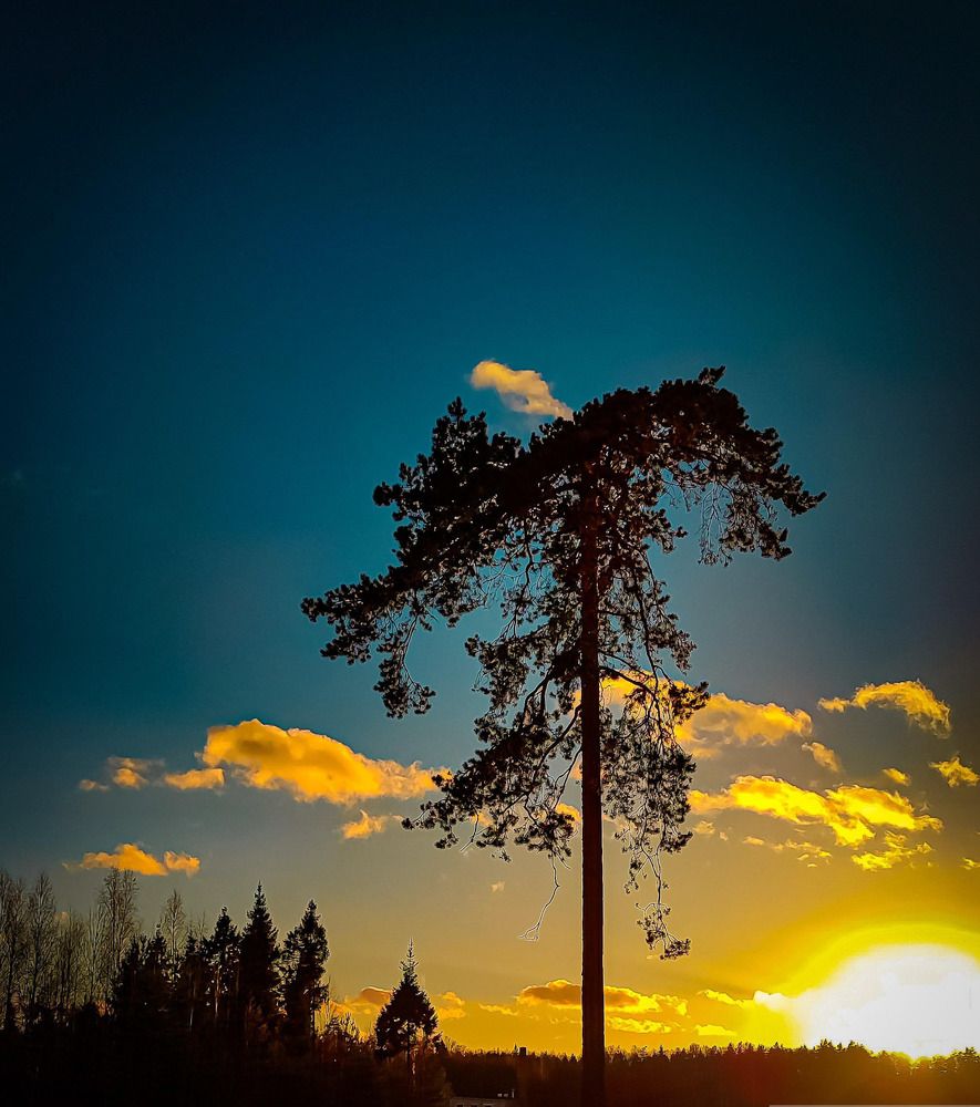 Photograph by Николай Яковлев