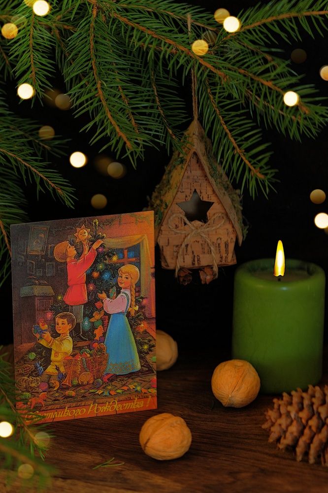 Фотография автора Екатерина Карасева