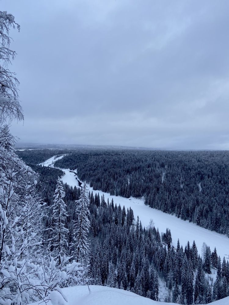 Photograph by Марина Полухина