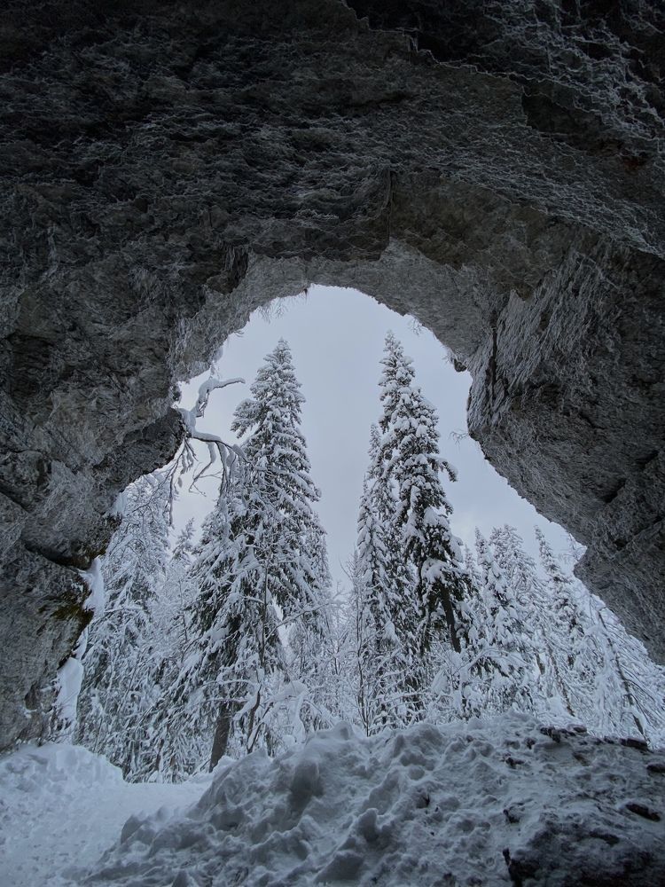 Photograph by Марина Полухина