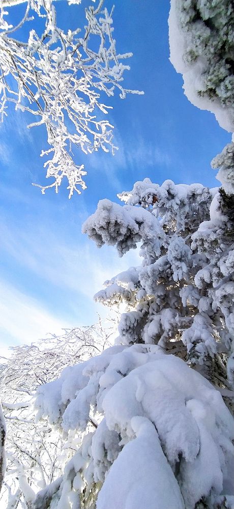 Photograph by Юлия Ташлыцкая