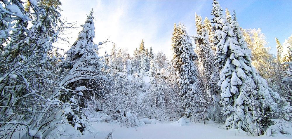 Photograph by Юлия Ташлыцкая