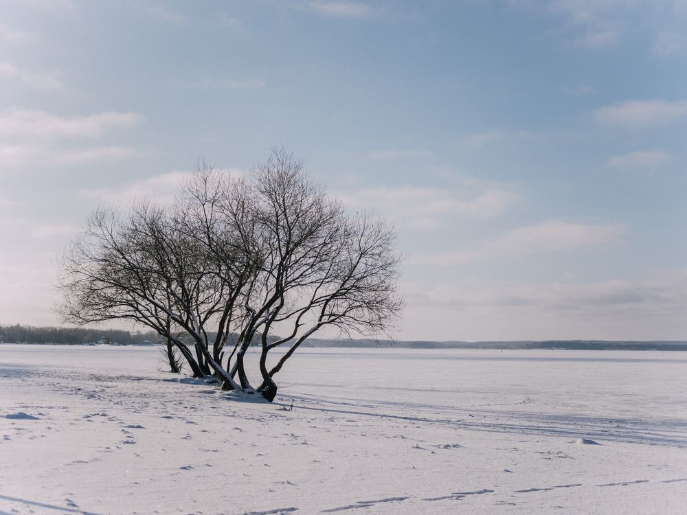 Photograph by Екатерина Бердутина