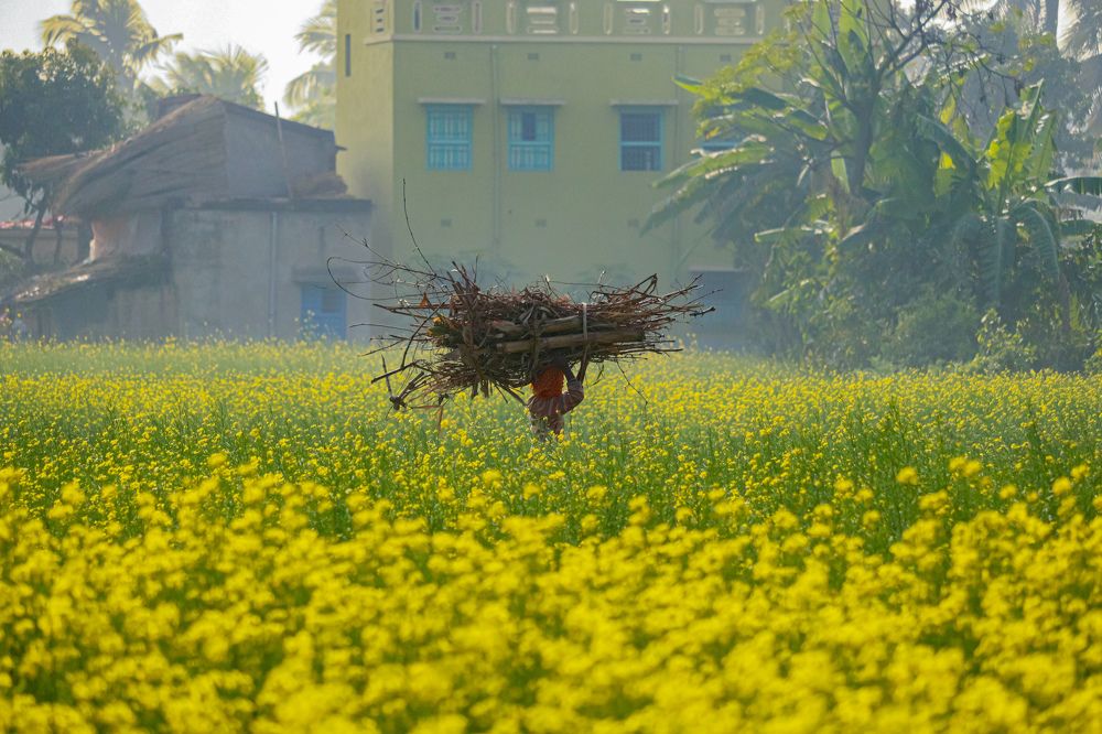 Photograph by Shounak Pal