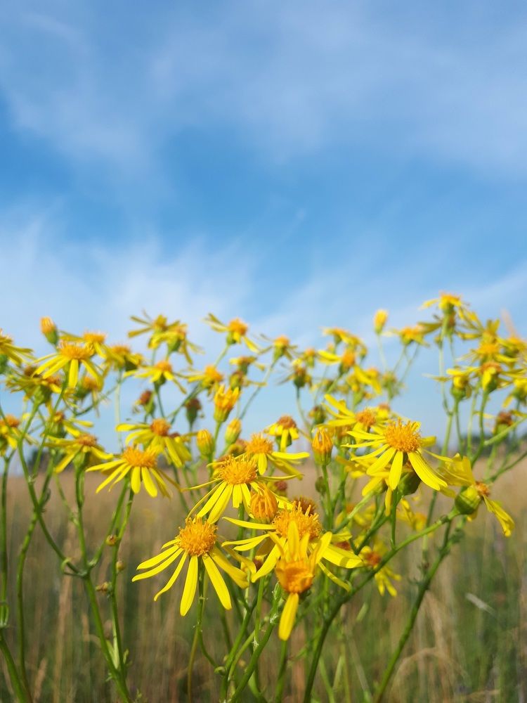 Photograph by Марина Полухина
