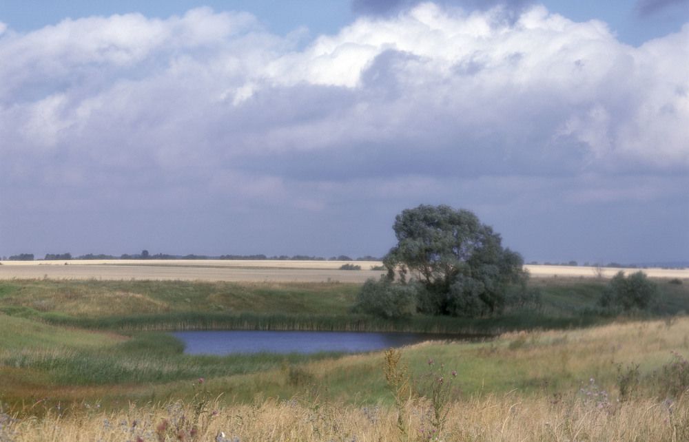 Photograph by Алексей Заморкин