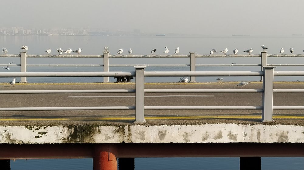 Photograph by Shahin Huseynli