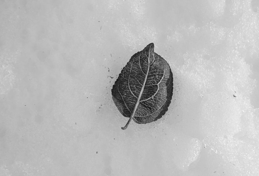 Photograph by Мария Паина