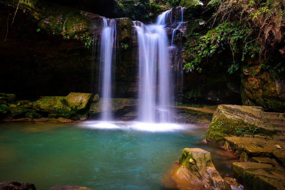 Photograph by debasish pal