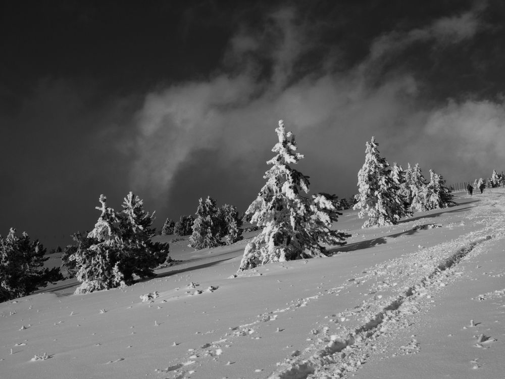 Photograph by Jacqueline MONTET