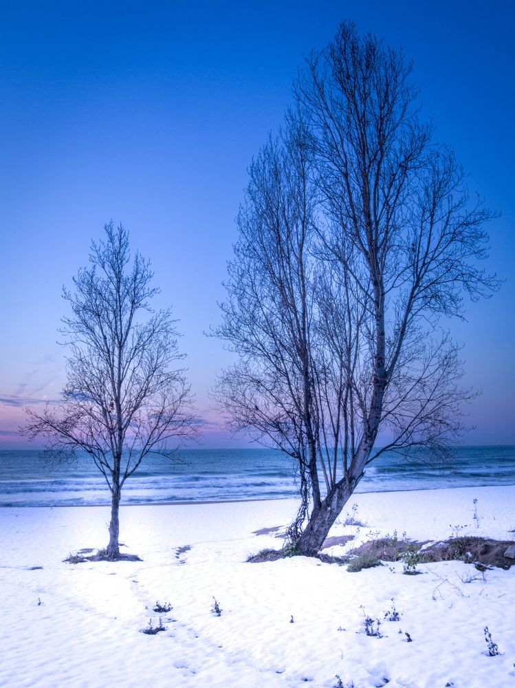 Фотография автора NECMETTİN SOBUTAY