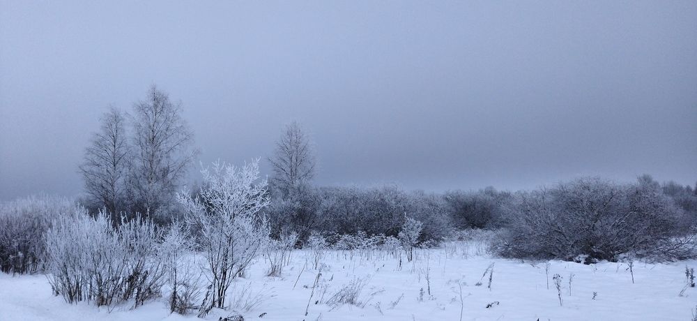 Скоро буря снежная