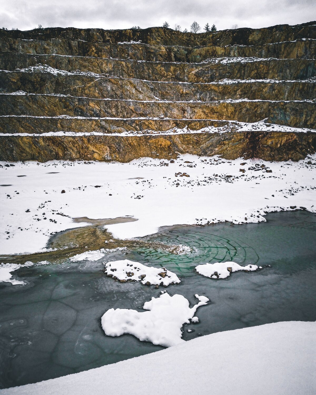 Photo #8620090