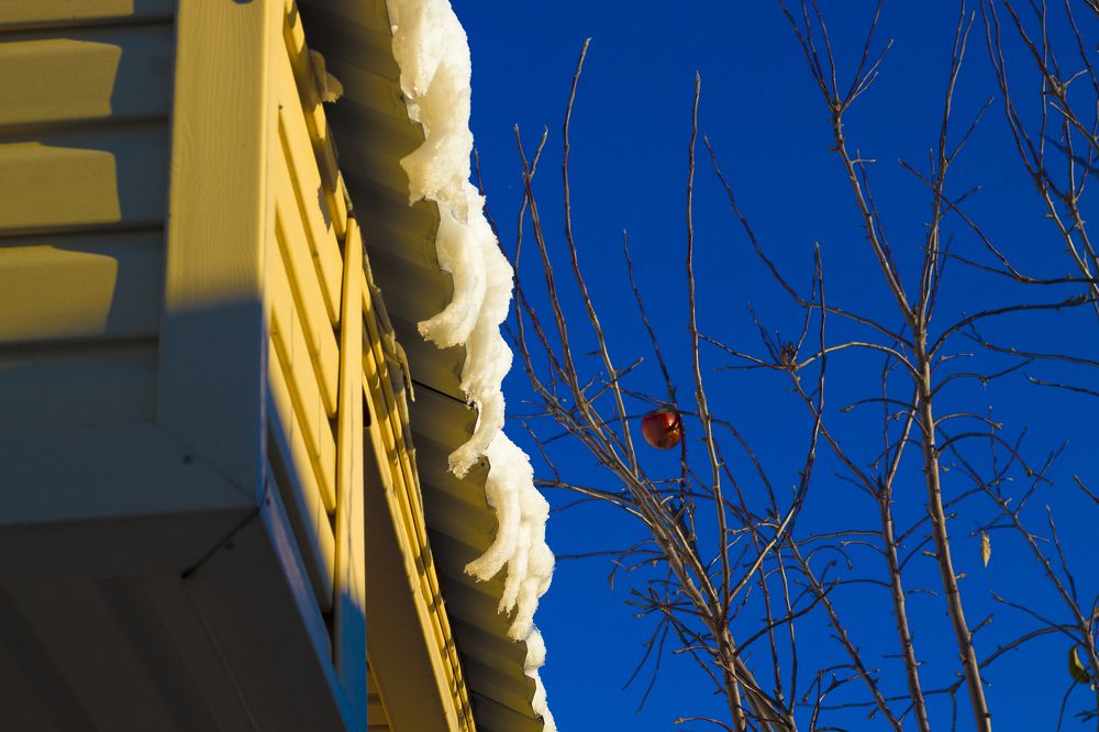 Photograph by Наталия