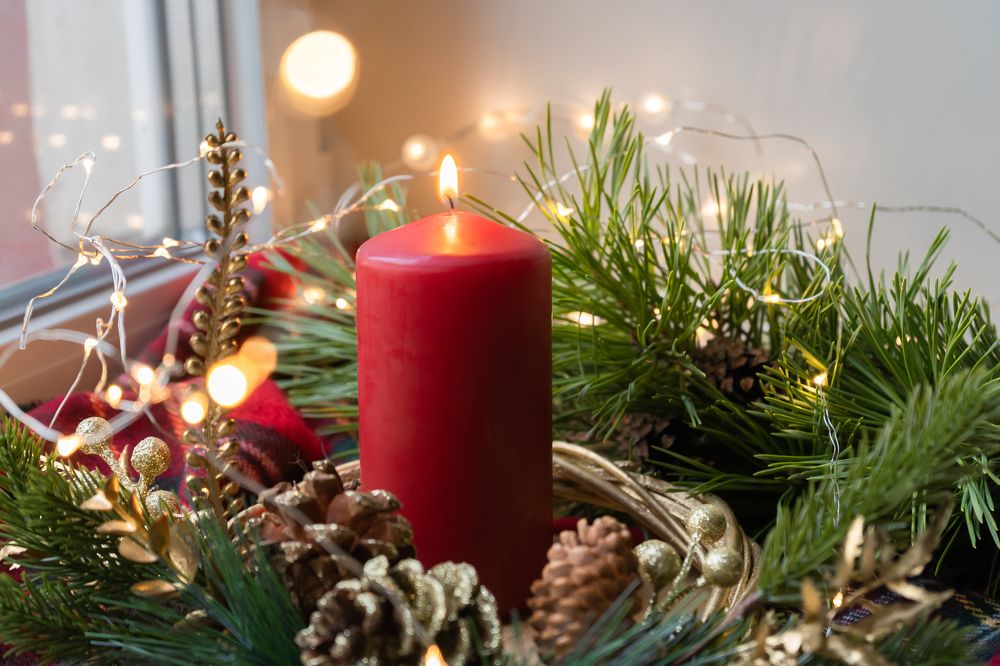 Photograph by Мария Паина