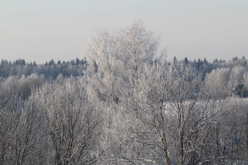 Морозный день