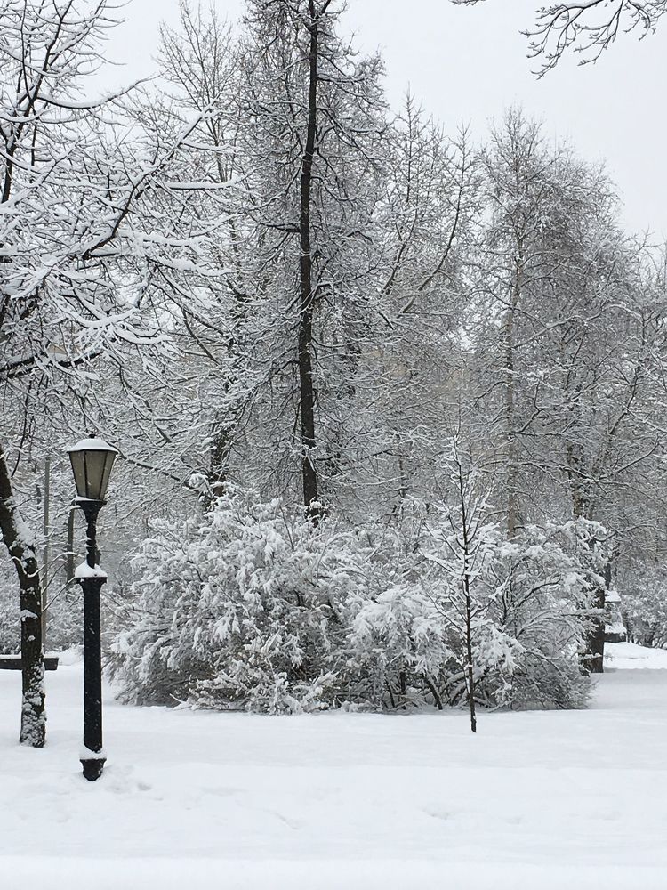 Photograph by Елена Макуха