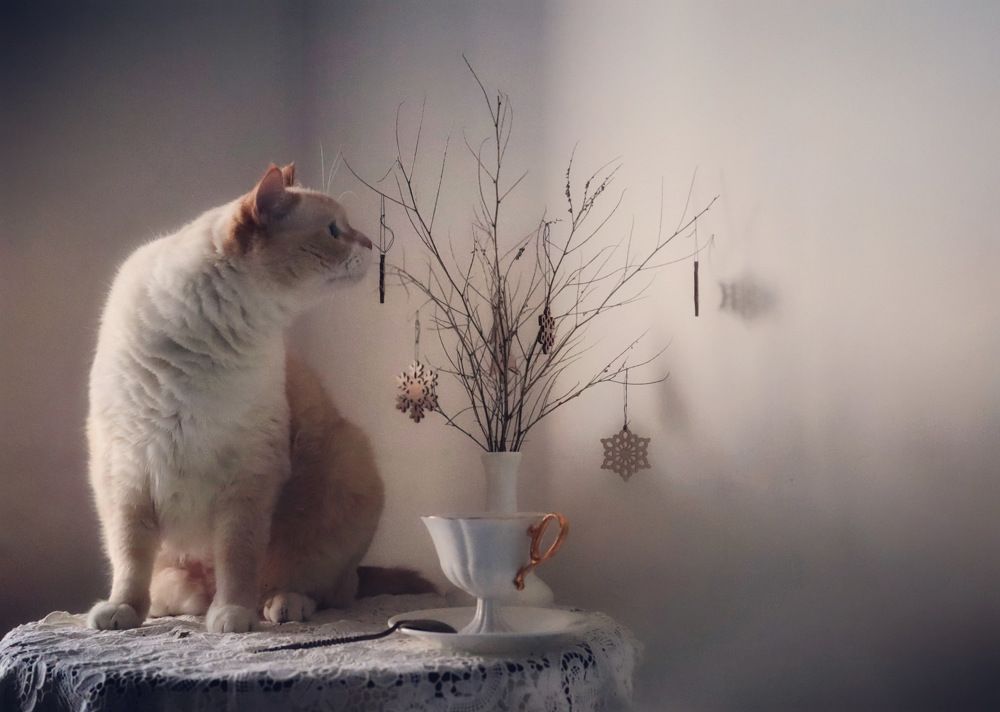 Photograph by Кира Бахвалова