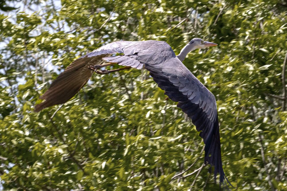 Photograph by Лапин Виталий