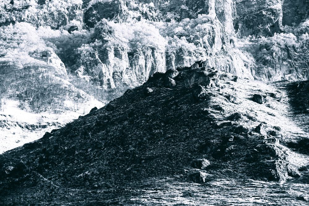 Photograph by Светлана Воскресенская