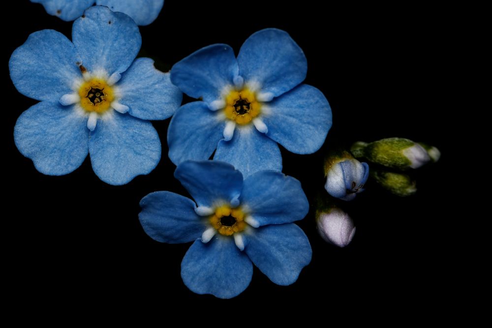 Фотография автора Jozef Mihalčin