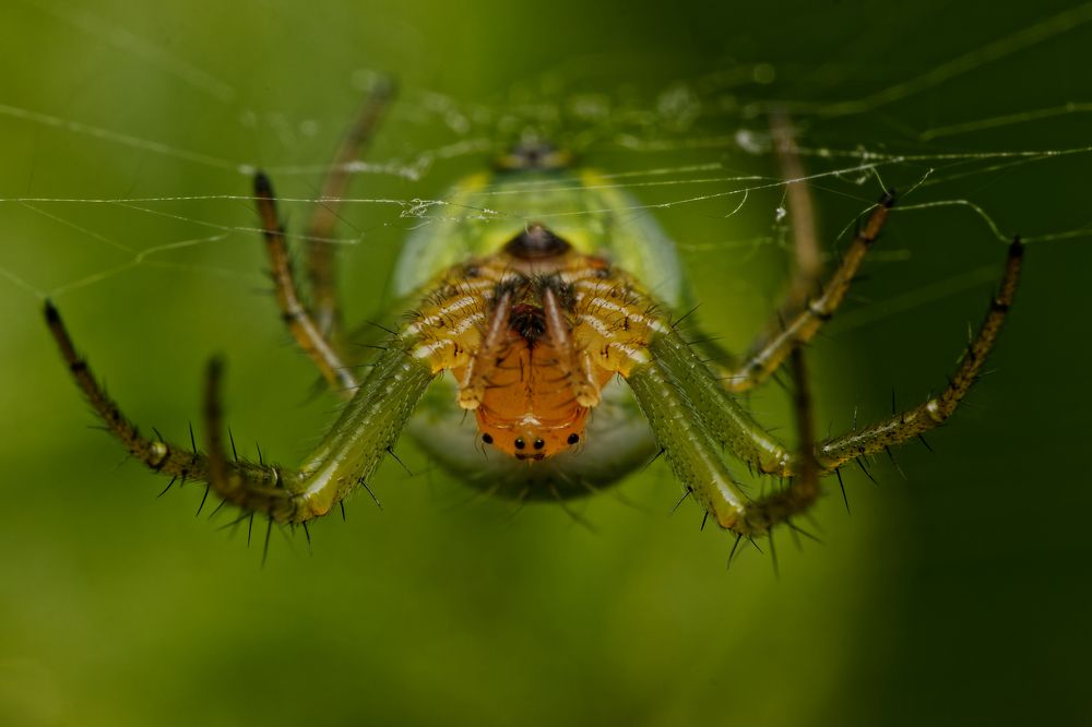 Фотография автора Jozef Mihalčin