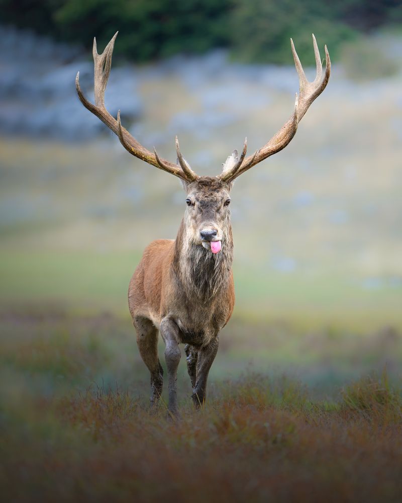 Photograph by Alexandra Surkova