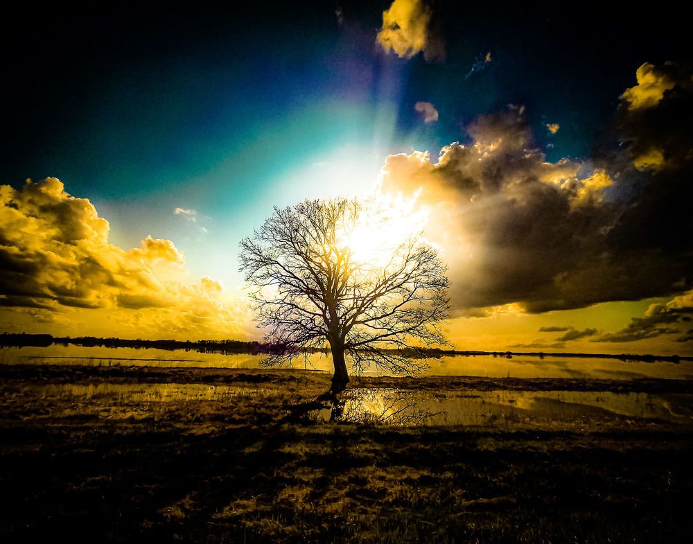 Photograph by Николай Яковлев