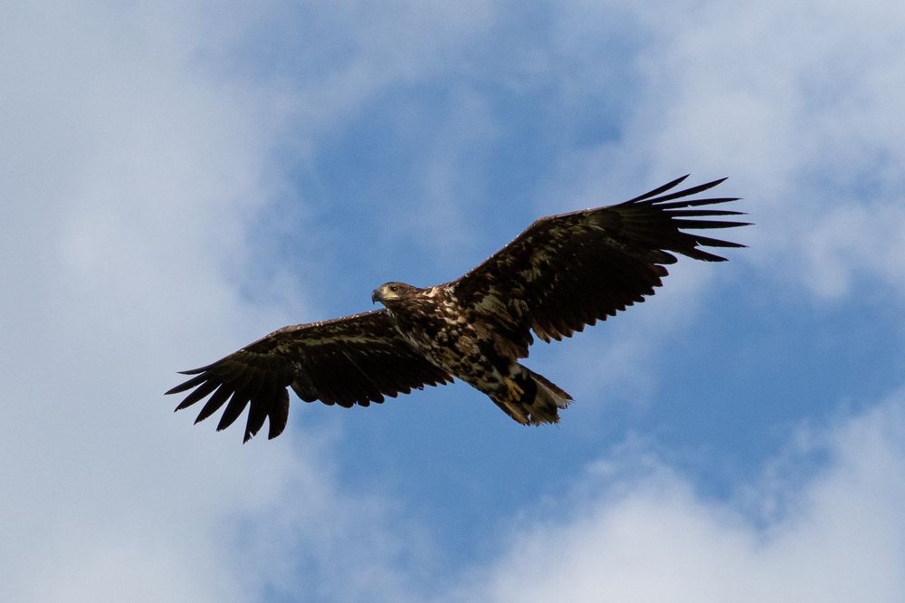 Photograph by Vitaly Lapin