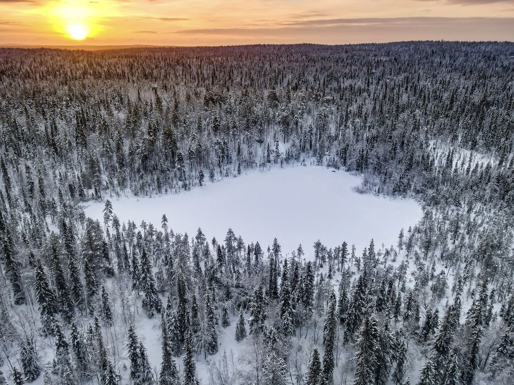 Photograph by Анастасия Юсова