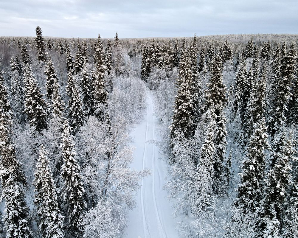 Photograph by Анастасия Юсова