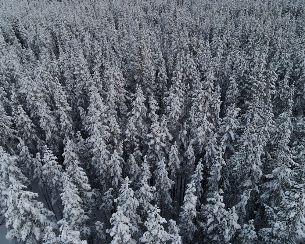 Photograph by Анастасия Юсова