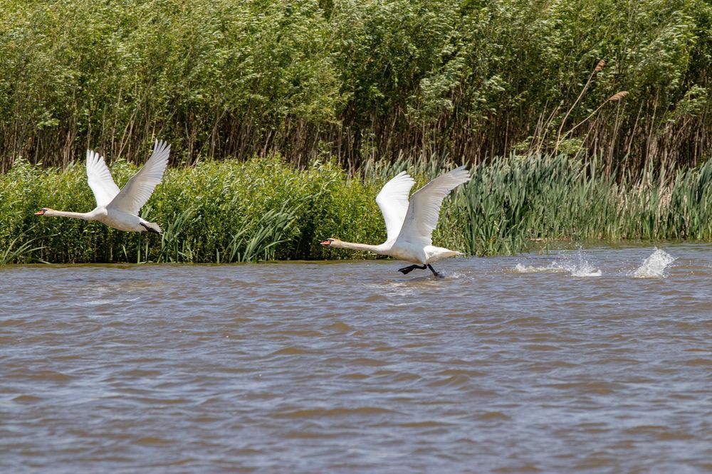 Photograph by Vitaly Lapin