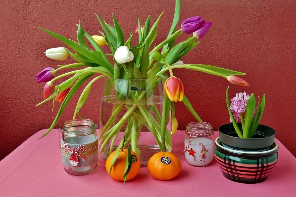 Photograph by backareva irina