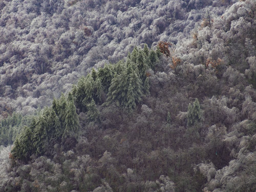 Photograph by Francesco Cassulo