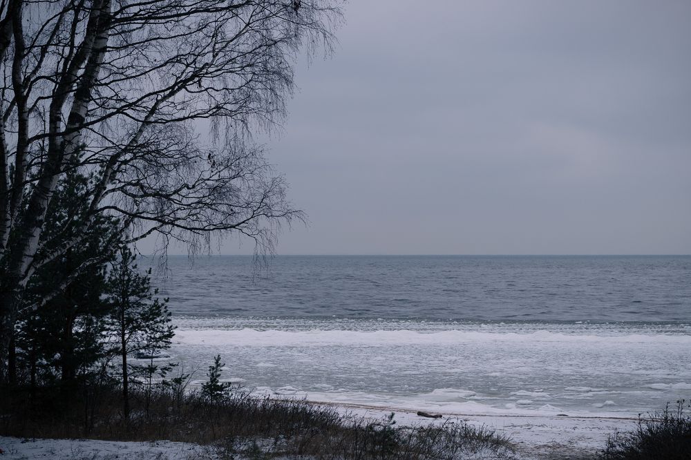 Photograph by Орехова Татьяна