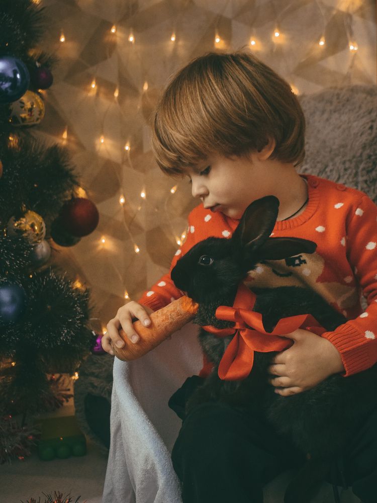 Photograph by Анна Федотова