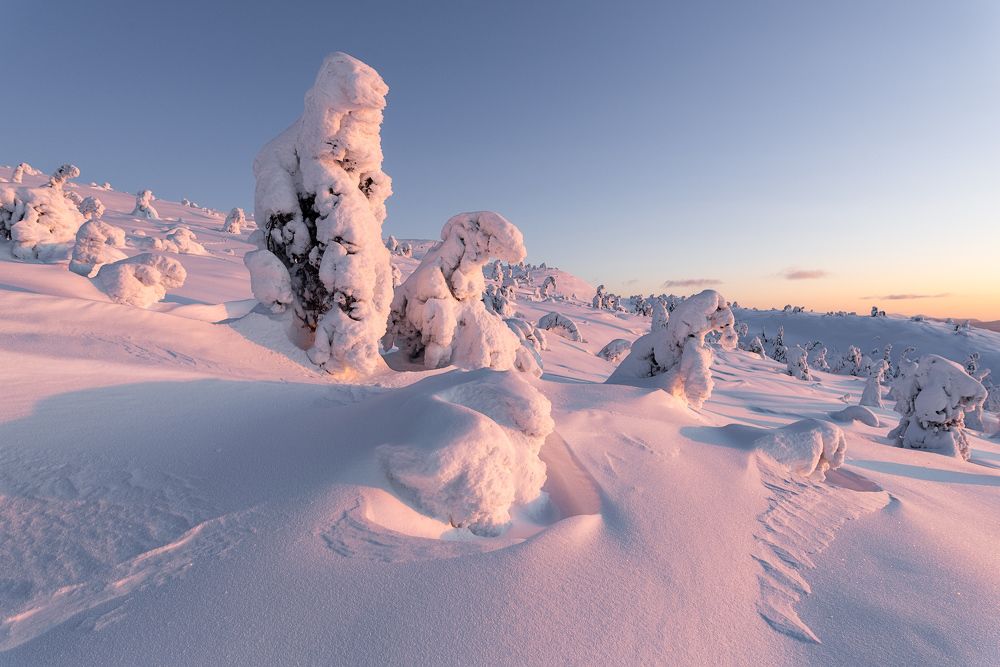 Photograph by Андрей Баскевич