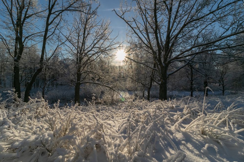 Photograph by Елена Ворошина