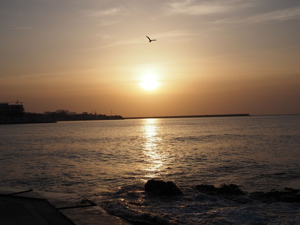 Photograph by Сергей Борисов