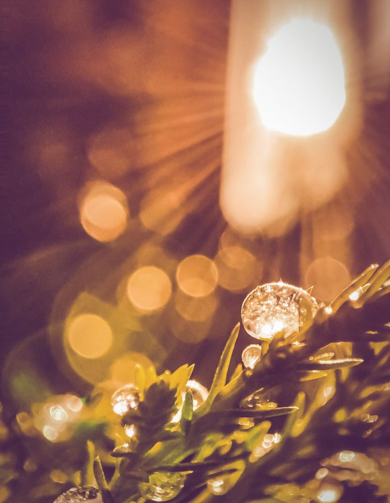 Photograph by Николай Яковлев