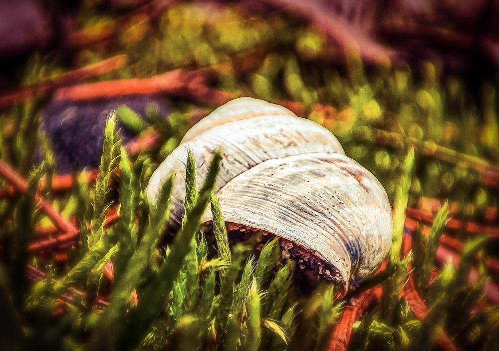 Photograph by Николай Яковлев