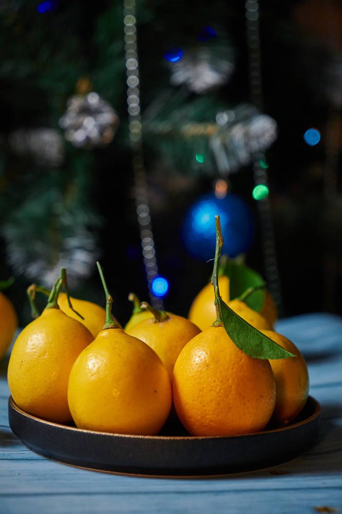 Photograph by Артем Большаков